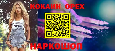 дмт Бийск