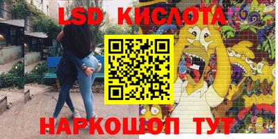 крисы Берёзовский