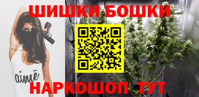 дмт Бийск
