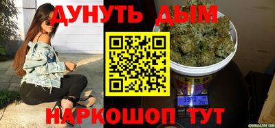 дмт Бийск