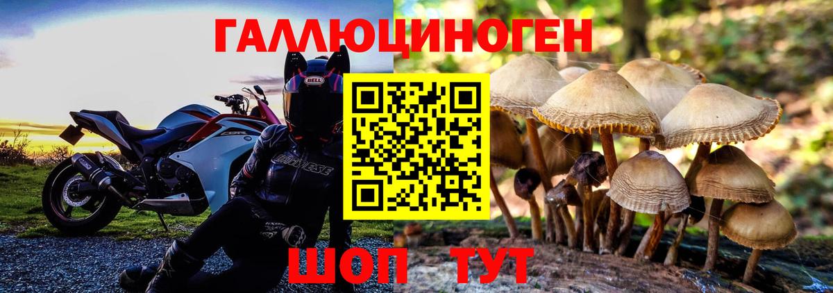 Псилоцибиновые грибы Psilocybine cubensis  Галлюциногенные грибы GOLDEN TEACHER  Вход с VPN  Ипатово 