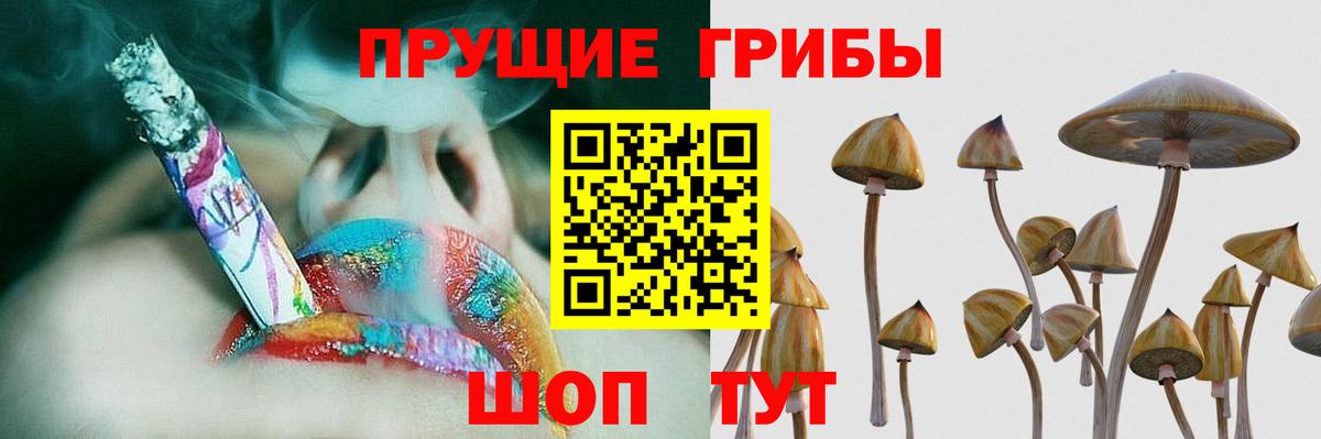 Галлюциногенные грибы Cubensis Ипатово